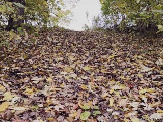 LW - Claudia - 3 Vids [FullHD 1920P] - Screenshot 2