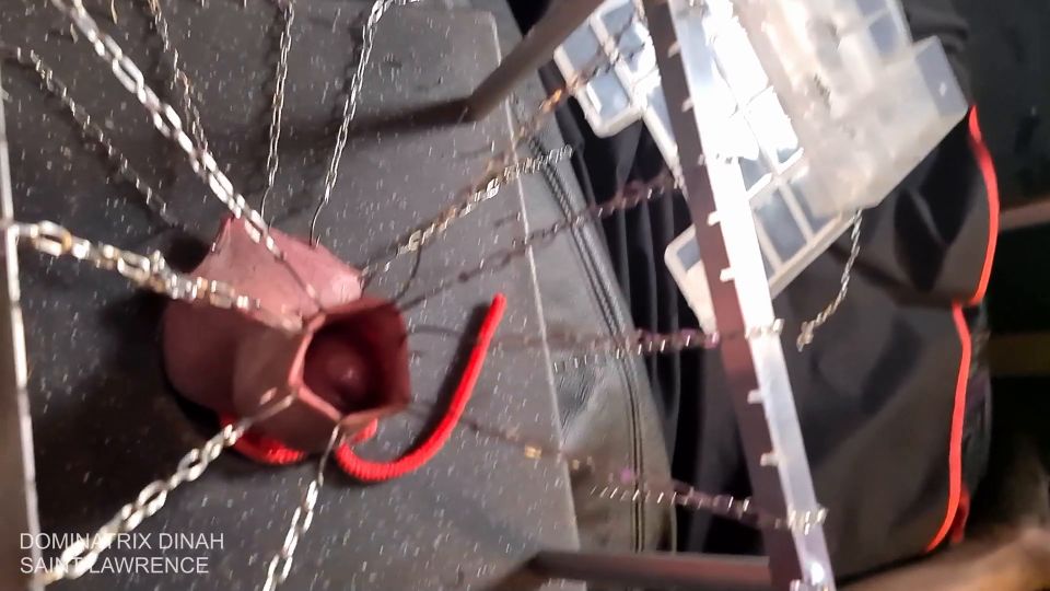 Dominatrix Dinah Personal - Extreme CBT - Hooked Cock And Balls [FullHD 1080P]