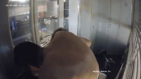 Voyeur-Houuse - Art Hot Kissing 31.07.2025 [HD 720P]