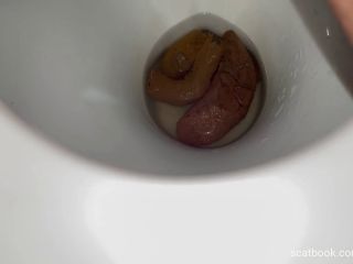 casalfist - Poop in the toilet [FullHD 1920P] - Screenshot 1