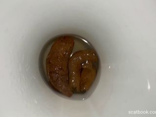 casalfist - Poop in the toilet [FullHD 1920P] - Screenshot 2