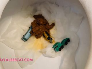 Layla Lee – Pooping on your toys! [HD 1280P] - Screenshot 4