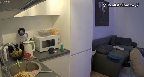 Reallifecam - Adeline And Markus Have Hot Fingering In Kitchen And Hot Sex On Sofa In Livingroom 07.08.2025 [SD 644P]