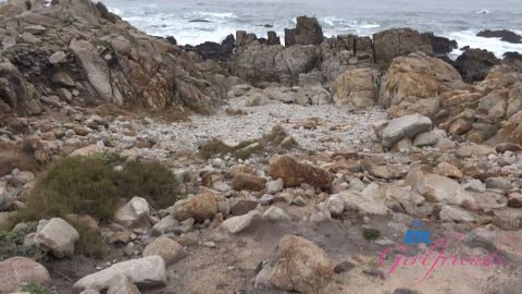 Summer Renee - Norcal Part 2 [FullHD 1080P]