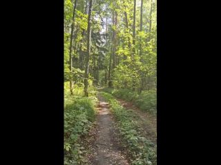 poogirla – poop in the park [HD 1280P] - Screenshot 1