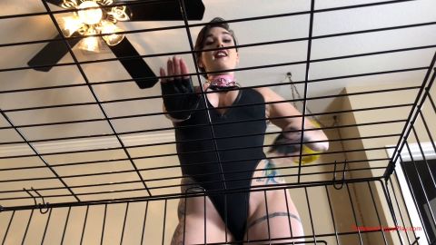 Femdom Puppy Play - Irene Discovers Her Man's Fetish Part 2 [FullHD 1080P]