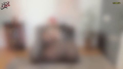 Cat-Coxx - Einmal Anal bitte - Der perverser Test für den Typ meiner Freundin [FullHD 1080P]