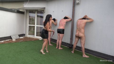 Mistress Gaia - Whipping The Wall [FullHD 1080P]