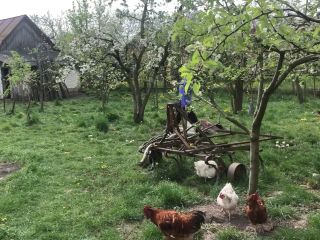 Karla [HD] - Screenshot 1