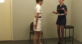 The Correctional Therapist
