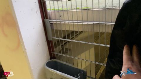 Miley-Weasel - Sexy Blondine Ferngesteuert Beim Shopping [FullHD 1080P]