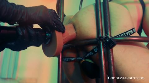 Goddess Tangent World Of Femdom - Fucking The [FullHD 1920P]