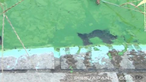 Sexjapantv.com- Splash And Dash