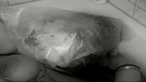 Deutsche_Dominaz - Eiswasser [HD 720P]