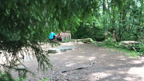 OnlyFans 2019-10-29-77890896