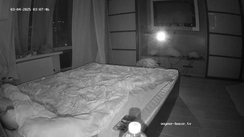 Guests Sex, 04-03-2025 Cam 2 [HD 720P]