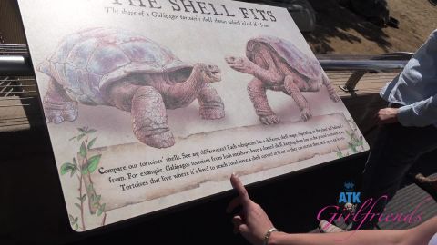 ATK Girlfriends – Lily Adams