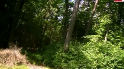 SexySabine4U - Geht es noch gieriger [HD 720P]