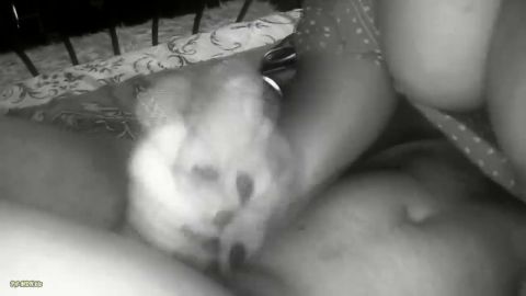 Deutsche_Dominaz - Unsere tägliche fetisch-party [HD 720P]