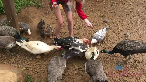 Atkgirlfriends.com- Kate Bloom