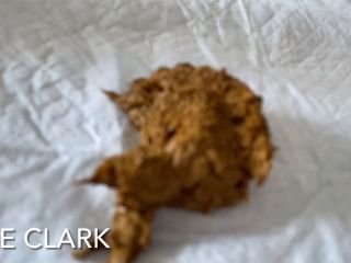 ElleClarkScatQueen – shitting in a diaper [HD] - Screenshot 6