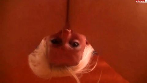 Kira-kerosin - ich bringe es dir bei - kopfüber deepthroat [HD 720P]