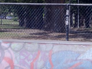Jessie G Rubi Valentine – Skate Mates