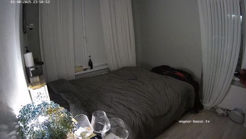 Voyeur-House - Sylva And Carlson Swap Group Hot Sex 31.07.2025 Cam 2 [HD 720P]