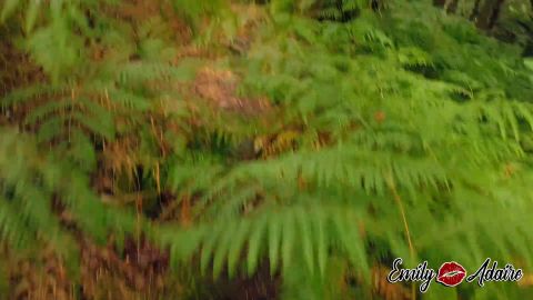 EmilyAdaireTS - Willst du mit mir laufen gehen - Wichsen im Wald [FullHD 1080P]