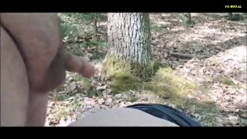 Einfach_Dani - Blasen im Wald [FullHD 1080P]