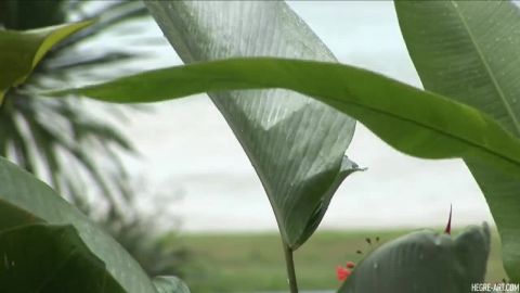 Hegre.com- Linda L Monsoon Rain