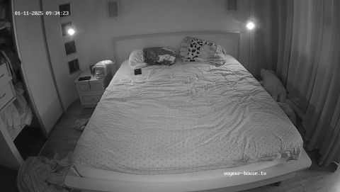 Henry Mira Bedroom Sex 2025-01-11 Cam 2 [HD 720P]