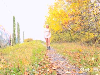 Suburb Path [FullHD 1920P] - Screenshot 1