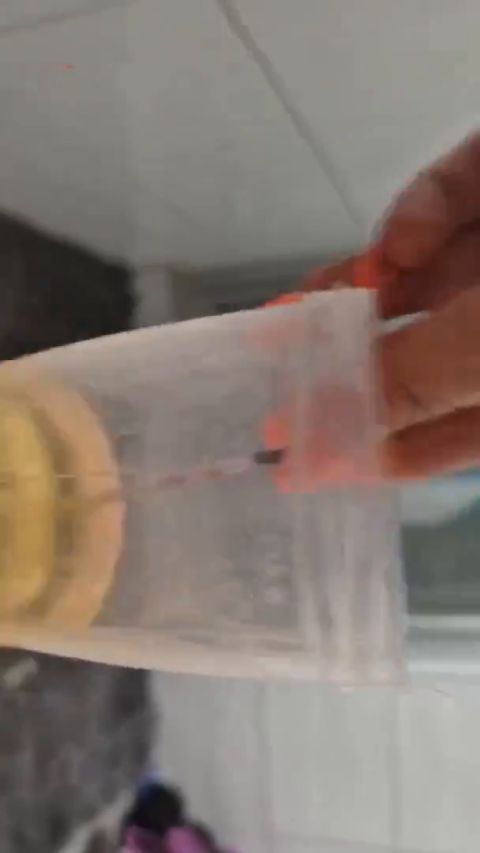 Hotpeachygirl1 - OMG, BIN ICH SCHWANGER [SD 608P]