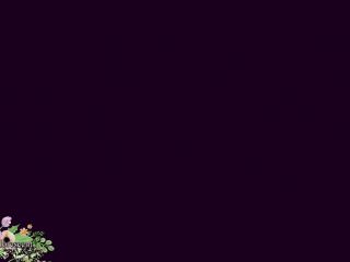 1.jpeg