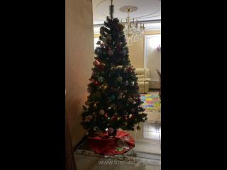 MEGA-FANS__loonascandi-25-12-2020-Time for family dinner  Merry Christmas