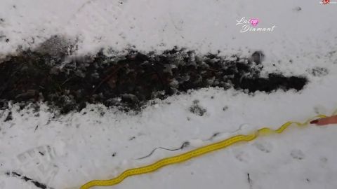 Kitty_Lou - Ich wollte schon immer Mal, ein Loch in den Schnee pissen [HD 720P]