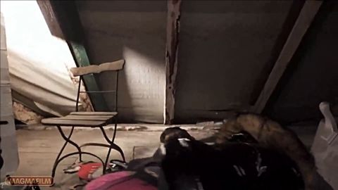 Jason_Steel - Zwei Kumpels Schleppen Eine Willige Fickstute Ab - BodoBanger - Juli... [FullHD 1080P]