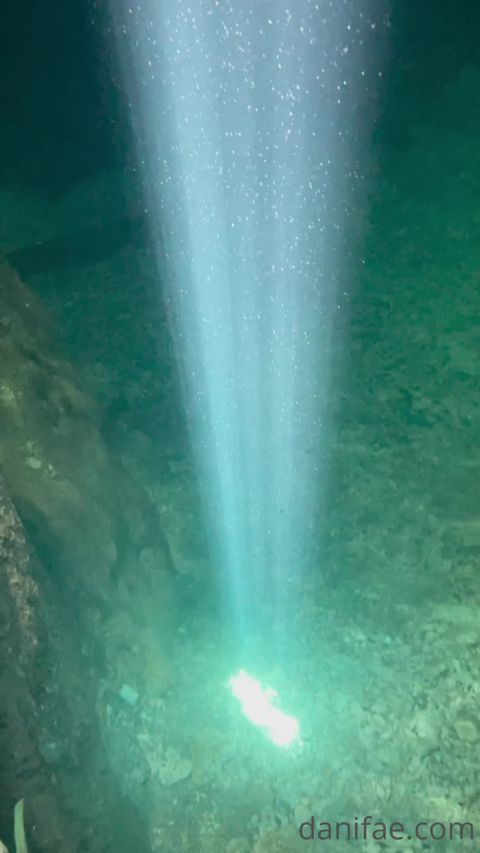 OnlyFans 2021-05-29_0gr017xgrq20x8ql8y3q4_source