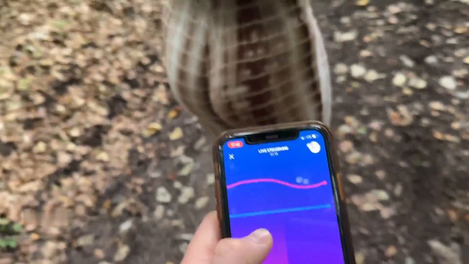 LeMaSnuSnu - Spaziergang mit Dildo in der Pussy eskaliert - Im Wald gefickt und in... [FullHD 1080P]