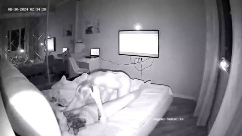 Yuneska And Radu Blowjob In Bedroom 2024-08-29 [HD 720P]