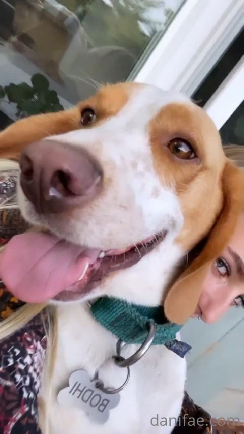 OnlyFans 2021-06-13_0grgzthtexop1oc8dsvn5_source