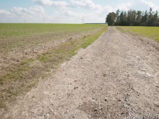 LW - Merz 3 Clips [FullHD 1920P] - Screenshot 3