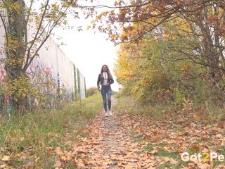 2941 [FullHD 1920P] - Screenshot 1