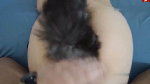 MissesGrey - Hündin mit Schwanz [HD 720P]