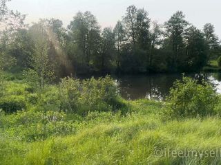 IFMS - Renata [UltraHD 4K 3840P] - Screenshot 1