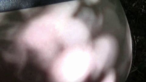 melodypleasure - An einem schönen heißen Sommertag - Vergnügen und Cheffie in den ... [FullHD 1080P]