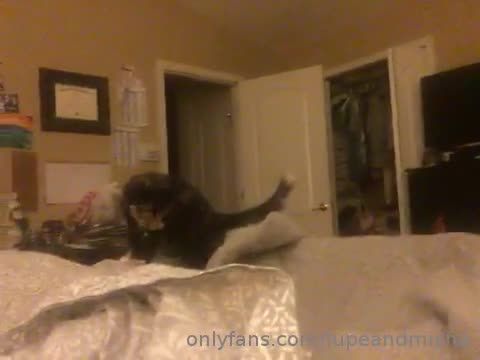 OnlyFans lupeandmicha_2019.05.16_32511847_The_cat_crashed_the_party