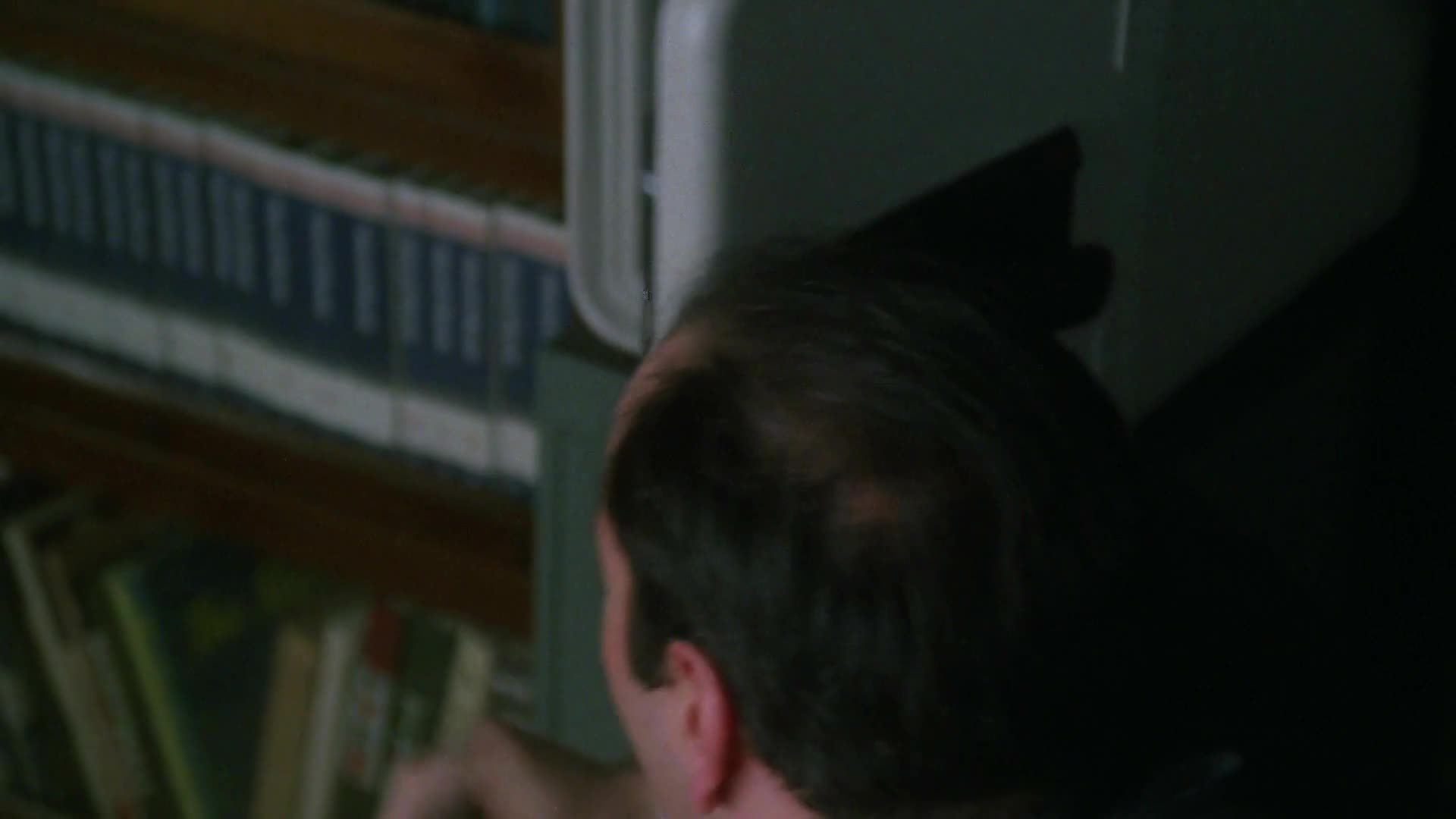 Head of the Family HD