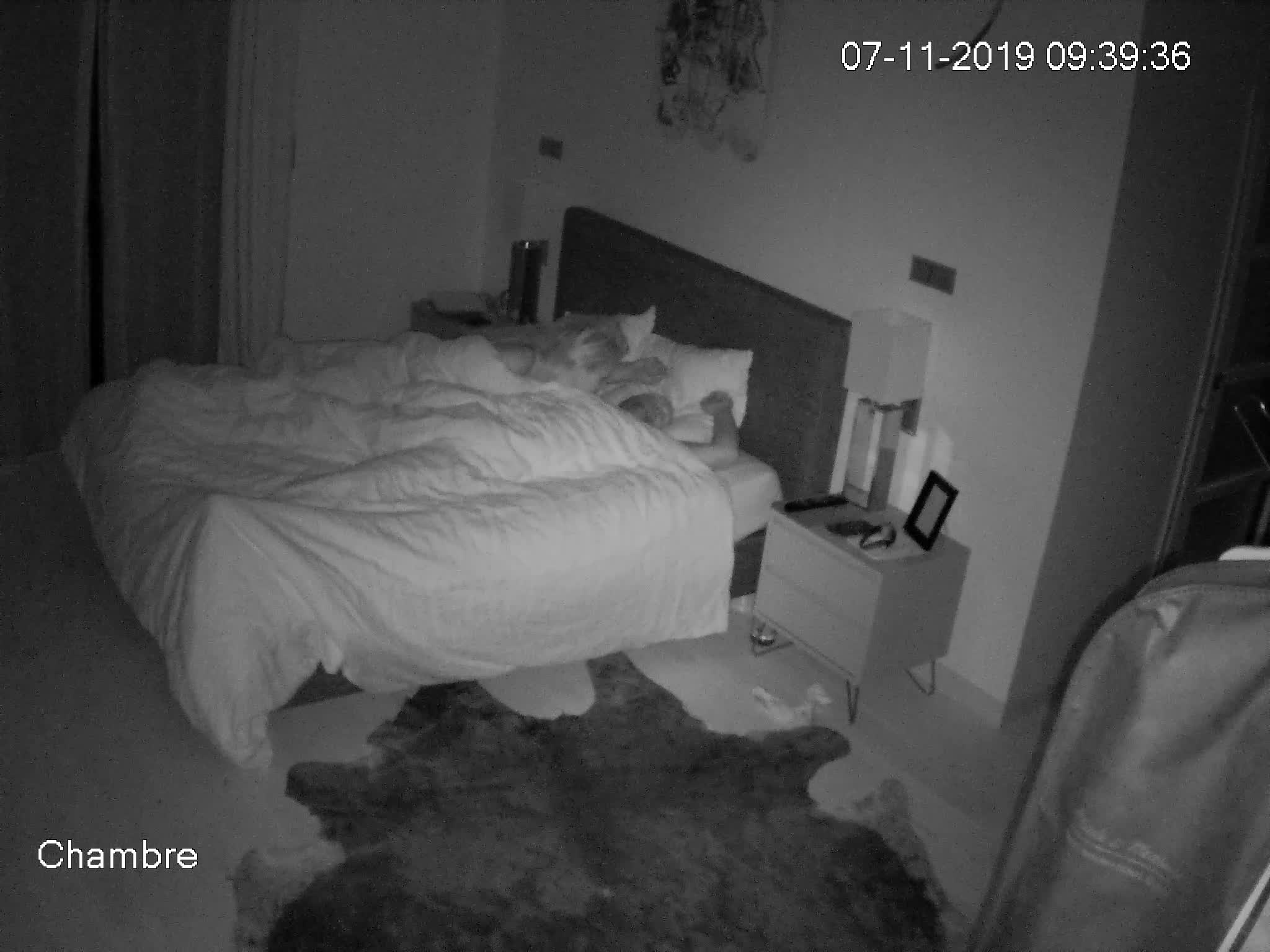 Preview for voyeur hidden camera 032250